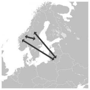 Krovinių-pervežimas-saurima